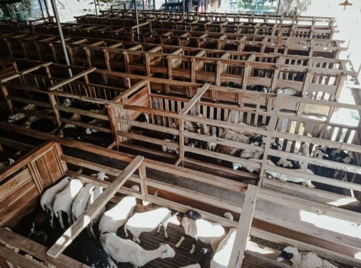 Gambar WhatsApp 2025-10-16 pukul 20.06.00_879a3de3