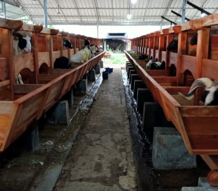 Gambar WhatsApp 2025-10-16 pukul 20.06.01_0487c065