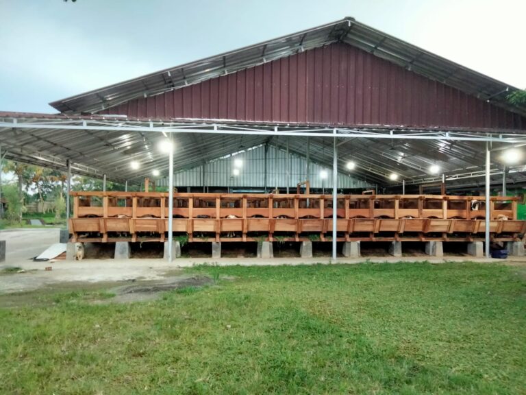 Gambar WhatsApp 2025-10-16 pukul 20.06.01_3a9d2fb1