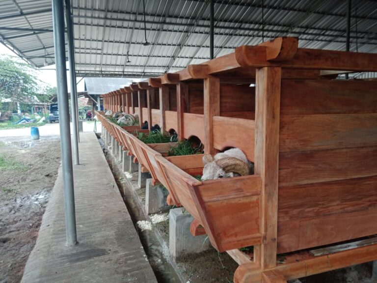 Gambar WhatsApp 2025-10-16 pukul 20.06.01_44db24a8